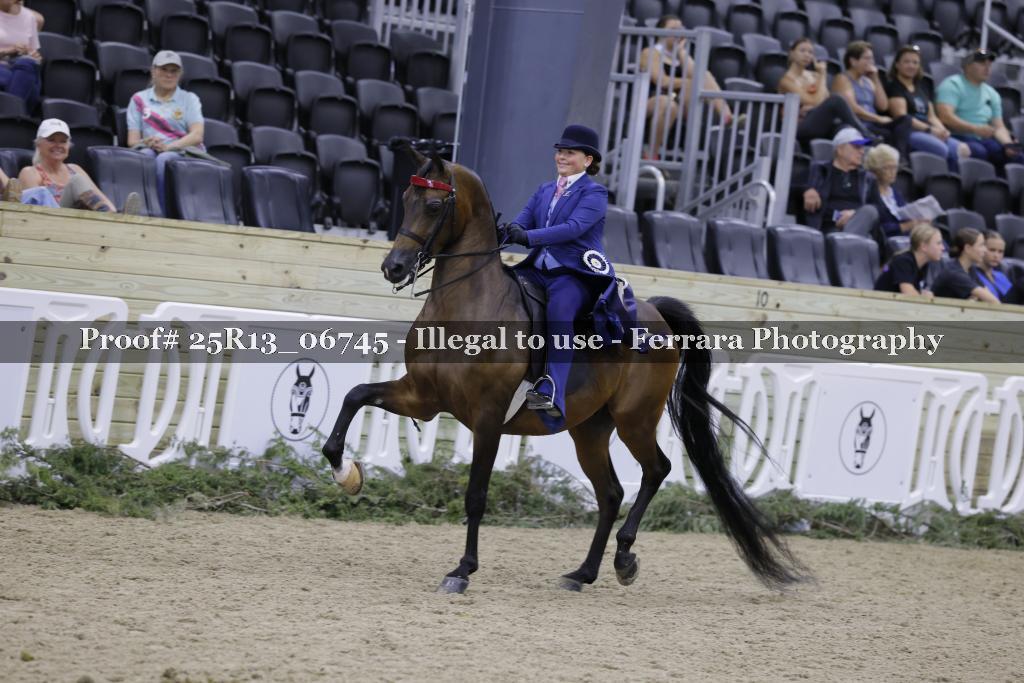 Proof 25R13_06745
