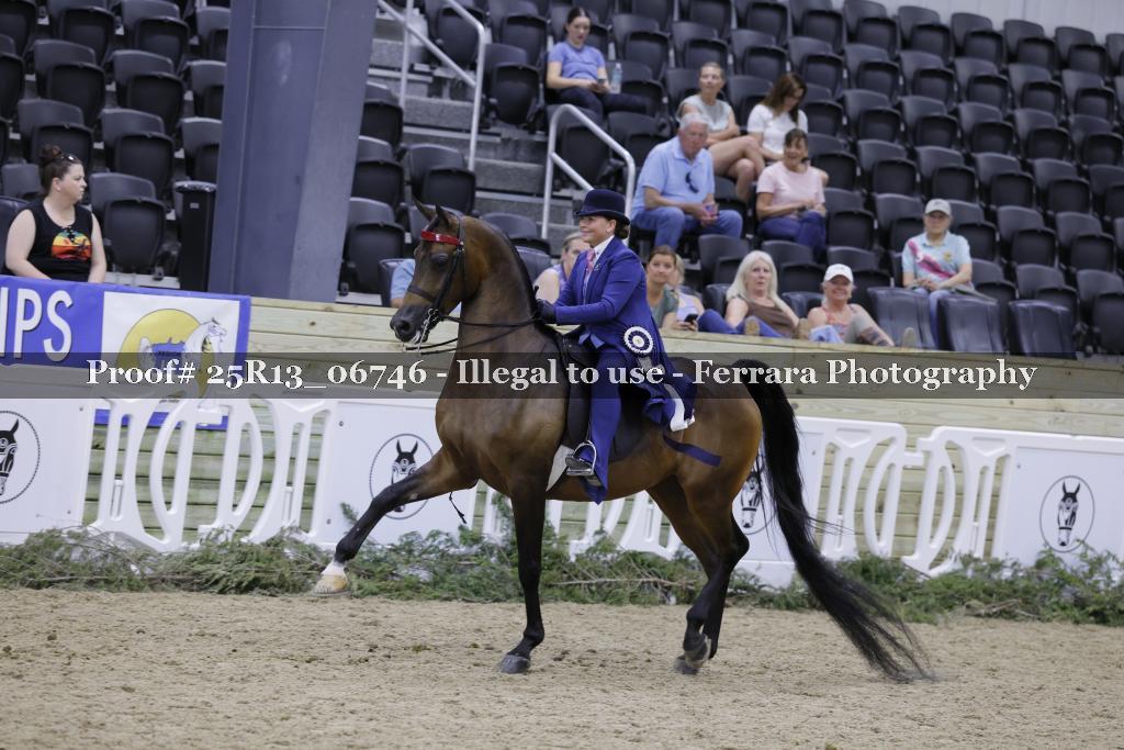 Proof 25R13_06746