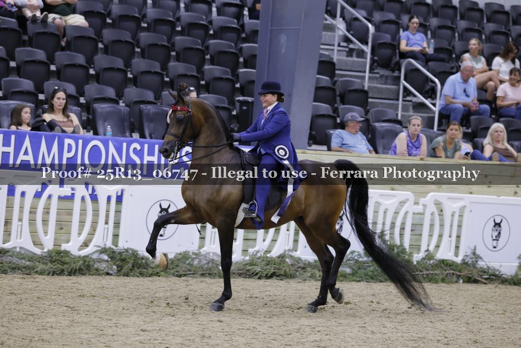 Proof 25R13_06747