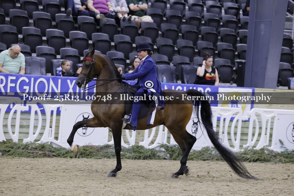 Proof 25R13_06748