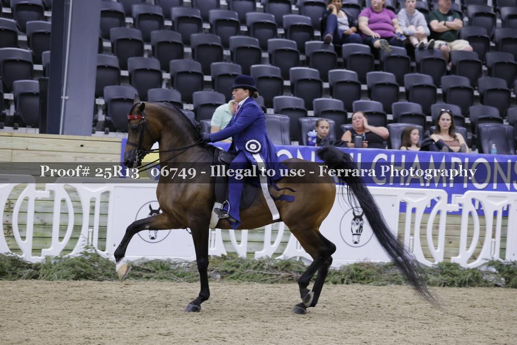 Proof 25R13_06749