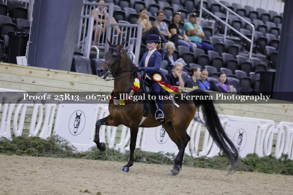 Proof 25R13_06750