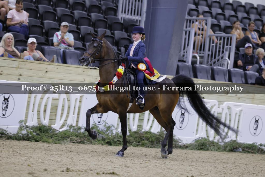 Proof 25R13_06751