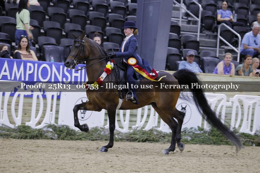 Proof 25R13_06753
