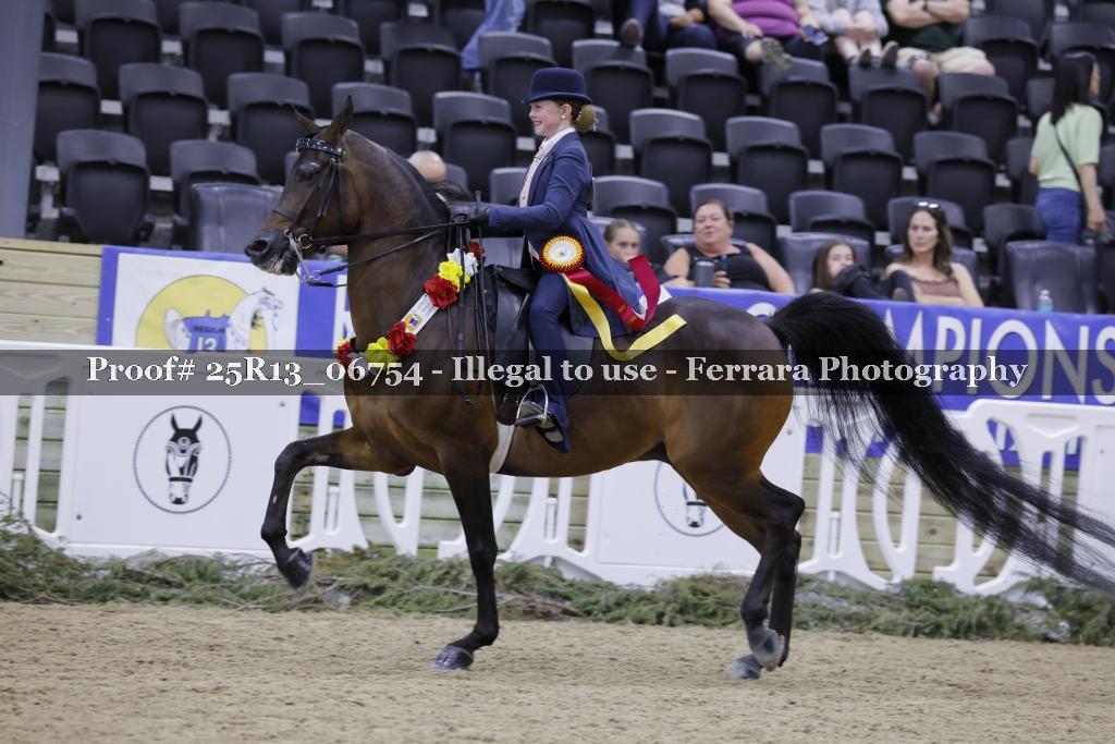 Proof 25R13_06754