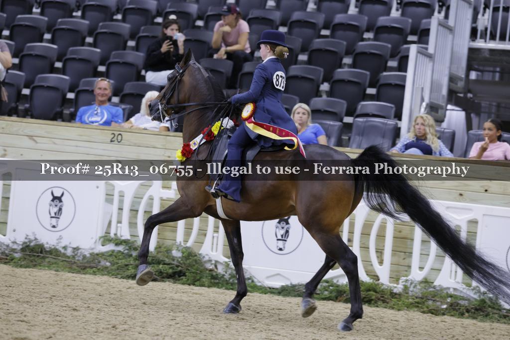 Proof 25R13_06755