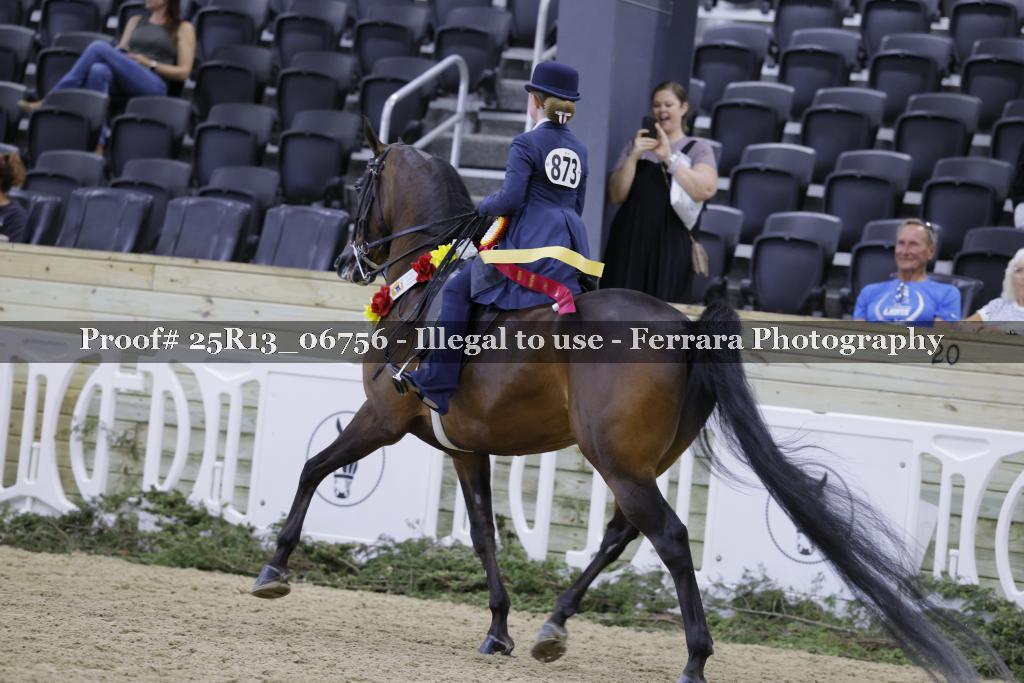 Proof 25R13_06756