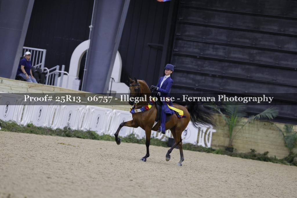 Proof 25R13_06757