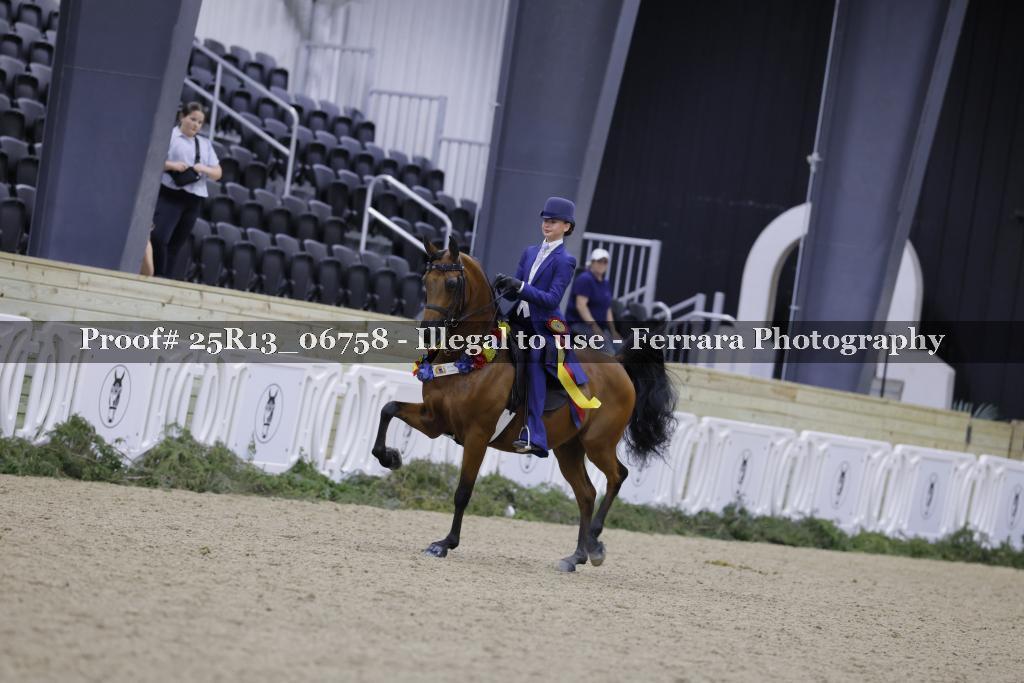 Proof 25R13_06758