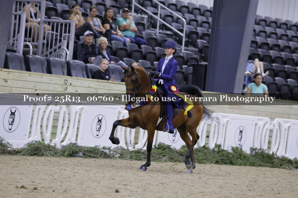 Proof 25R13_06760