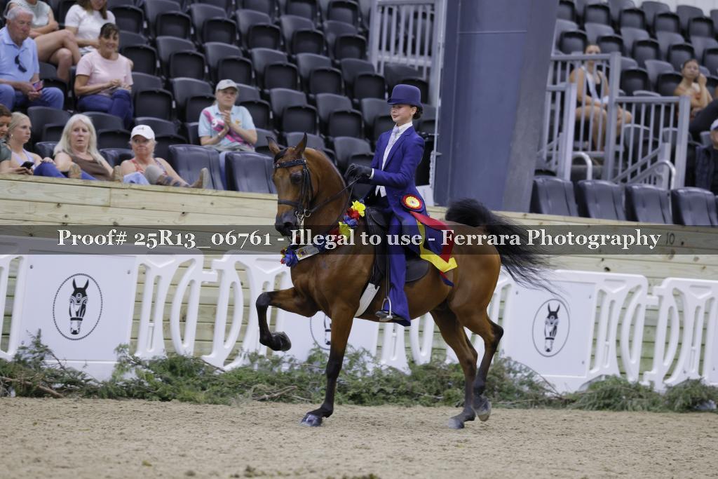 Proof 25R13_06761