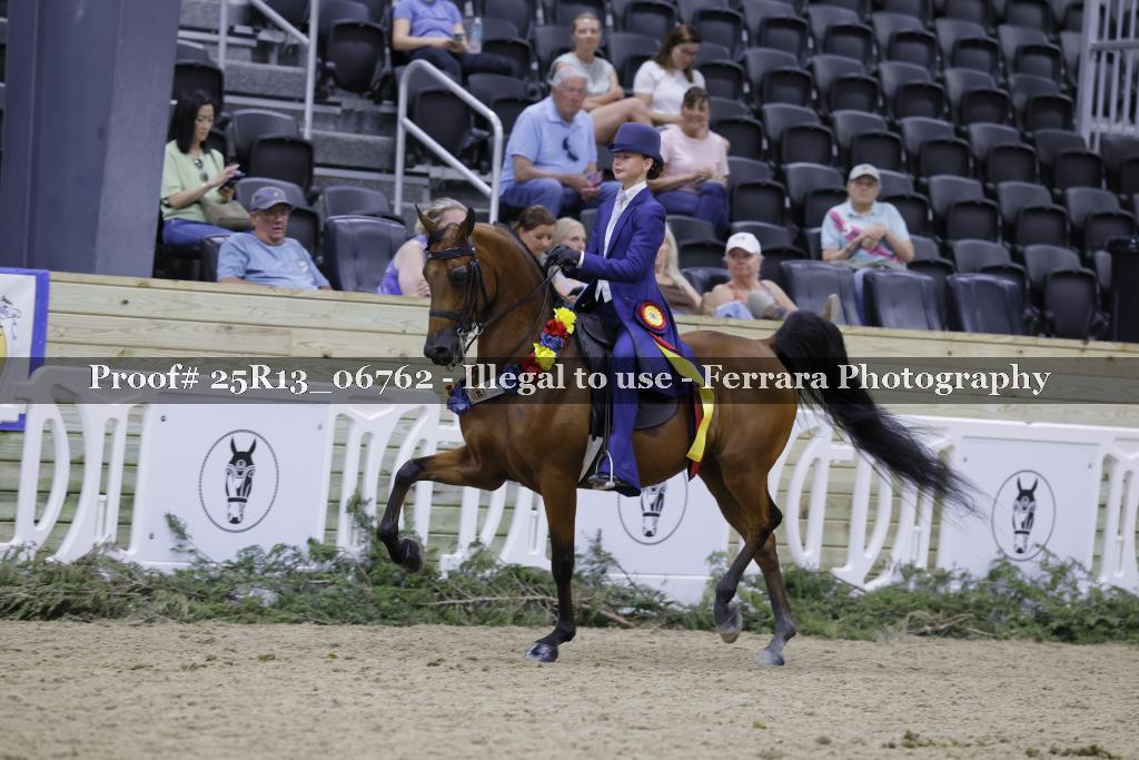 Proof 25R13_06762