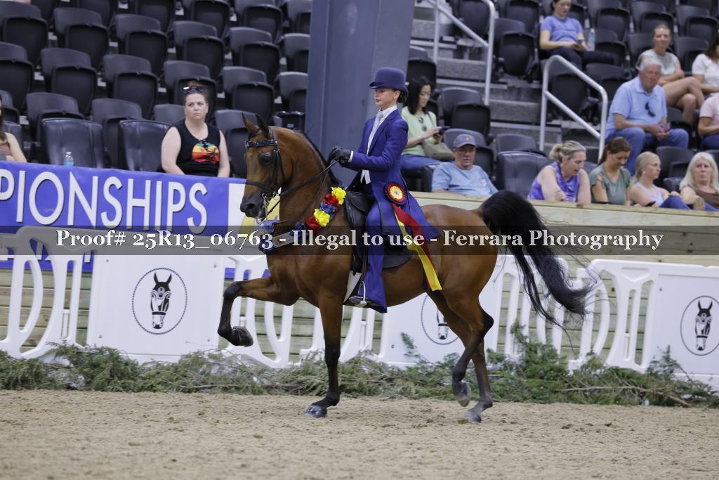 Proof 25R13_06763