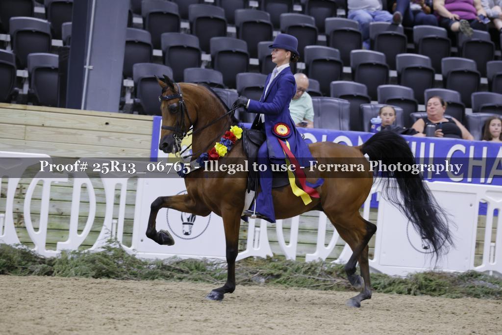 Proof 25R13_06765