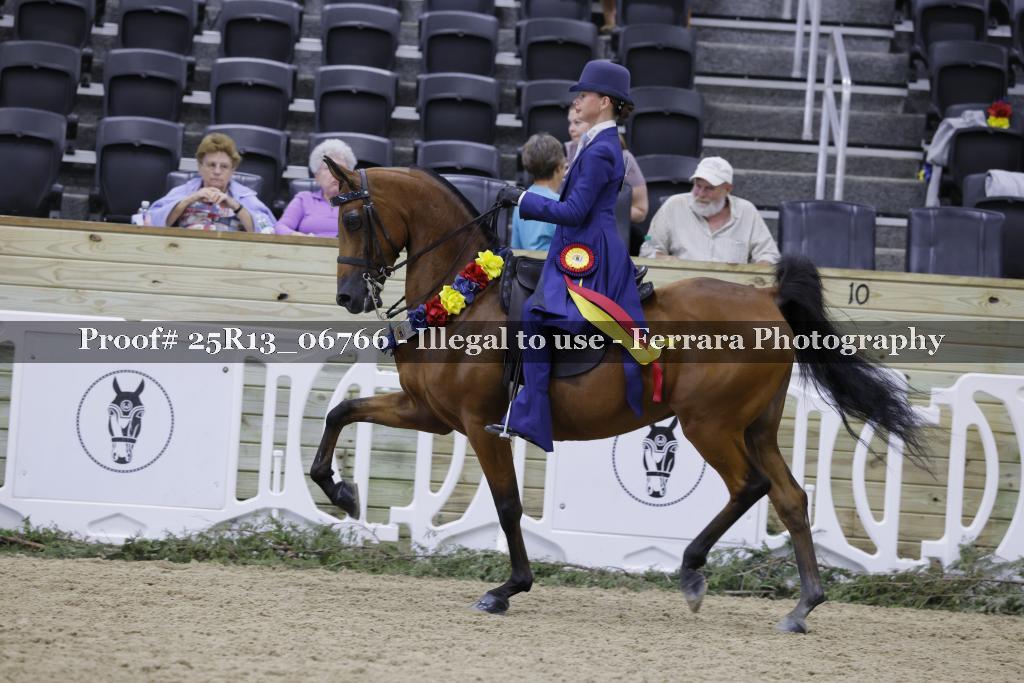 Proof 25R13_06766
