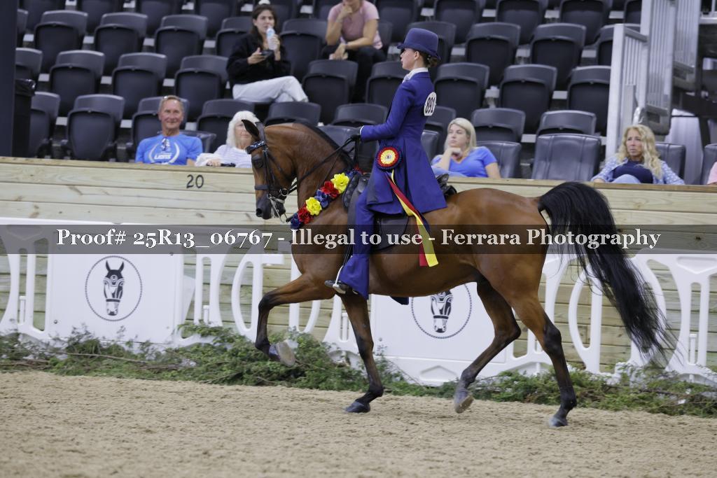 Proof 25R13_06767