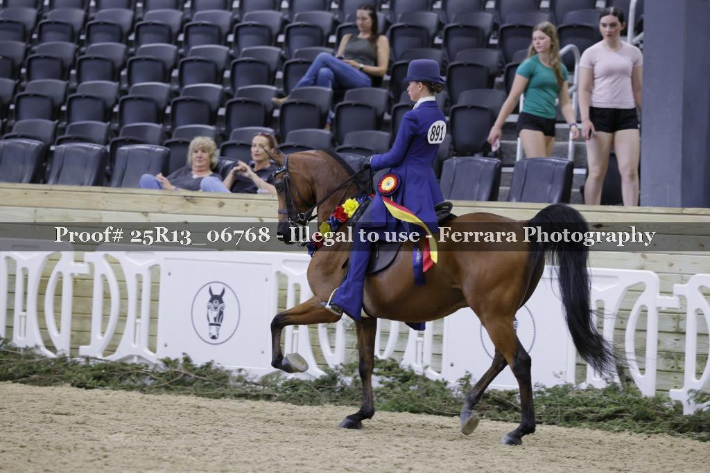 Proof 25R13_06768