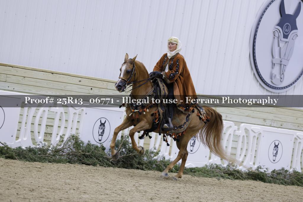 Proof 25R13_06771