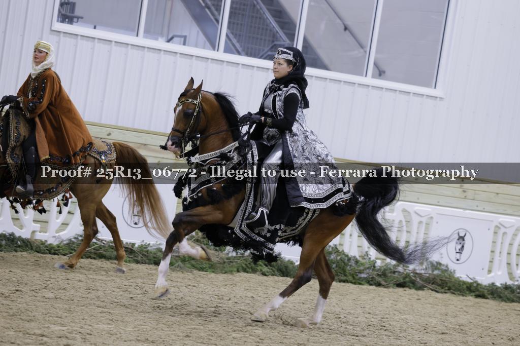 Proof 25R13_06772