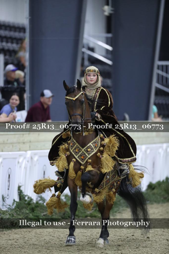 Proof 25R13_06773