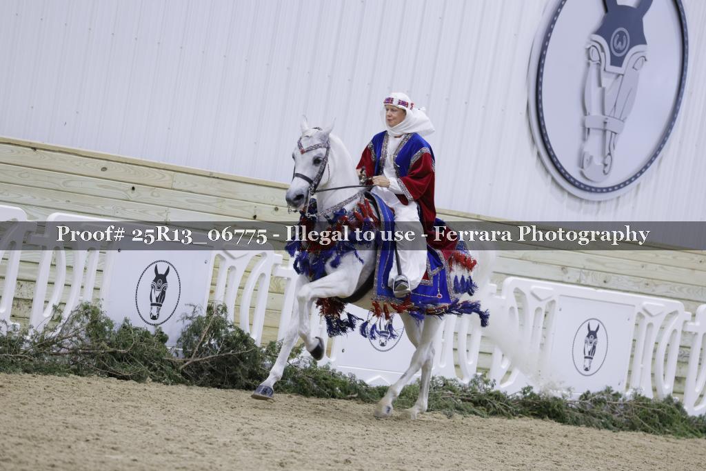 Proof 25R13_06775