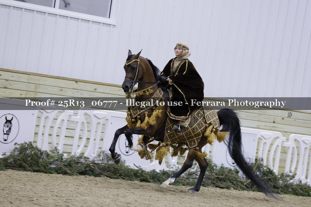 Proof 25R13_06777