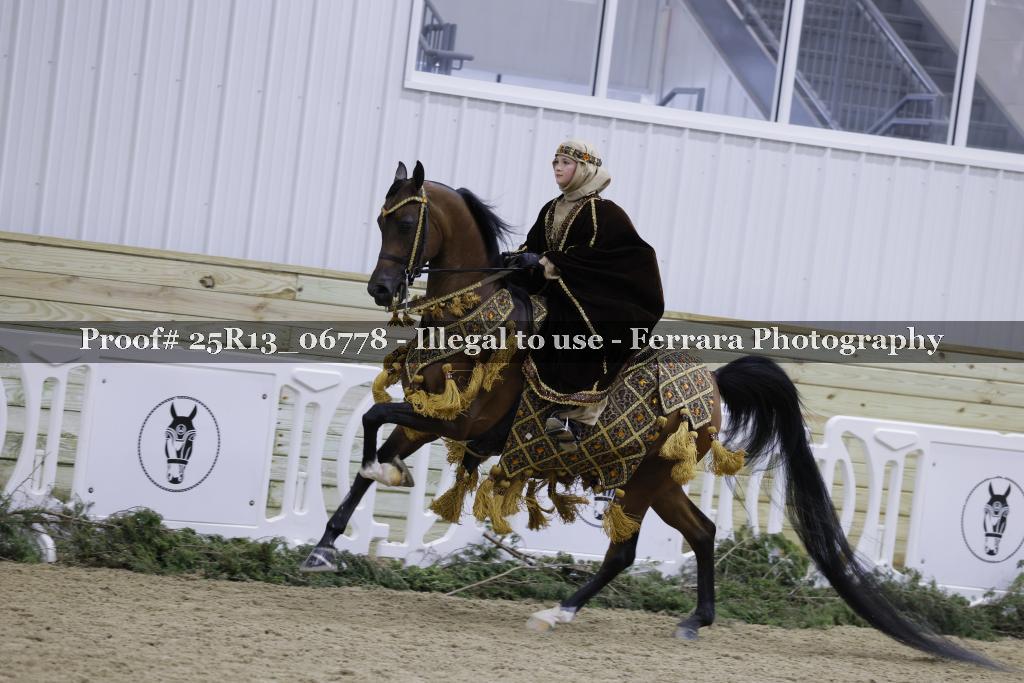 Proof 25R13_06778