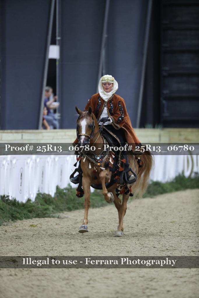 Proof 25R13_06780