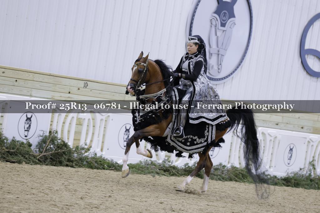 Proof 25R13_06781