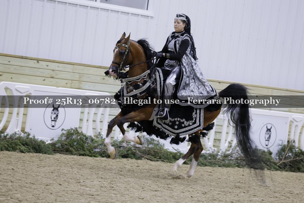 Proof 25R13_06782