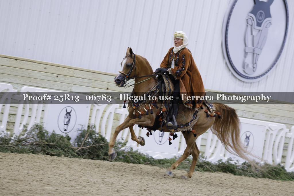 Proof 25R13_06783
