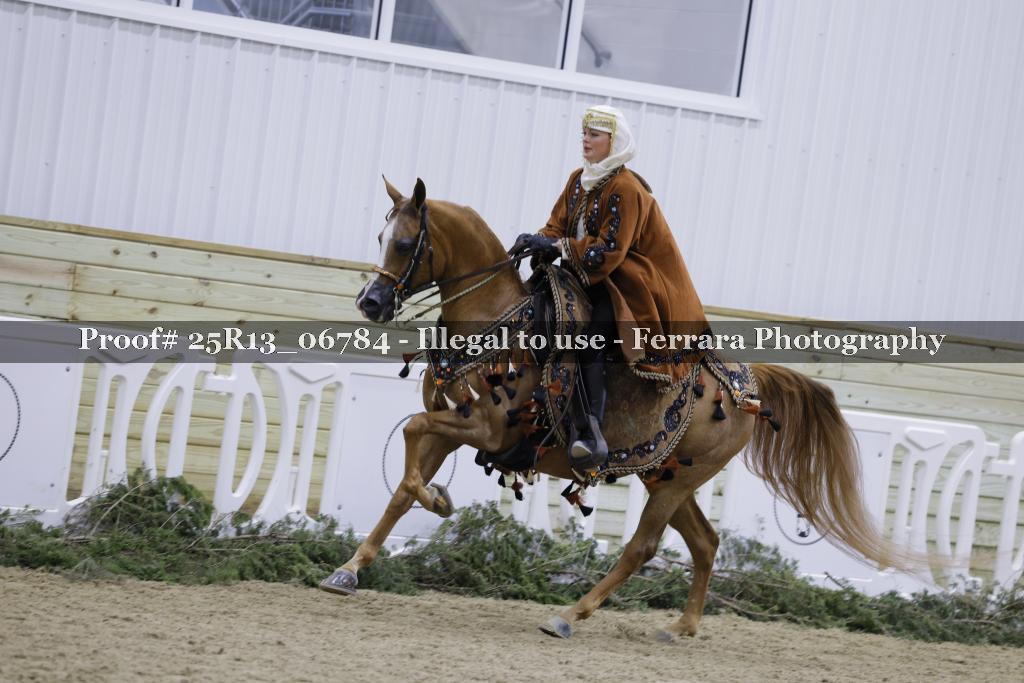 Proof 25R13_06784