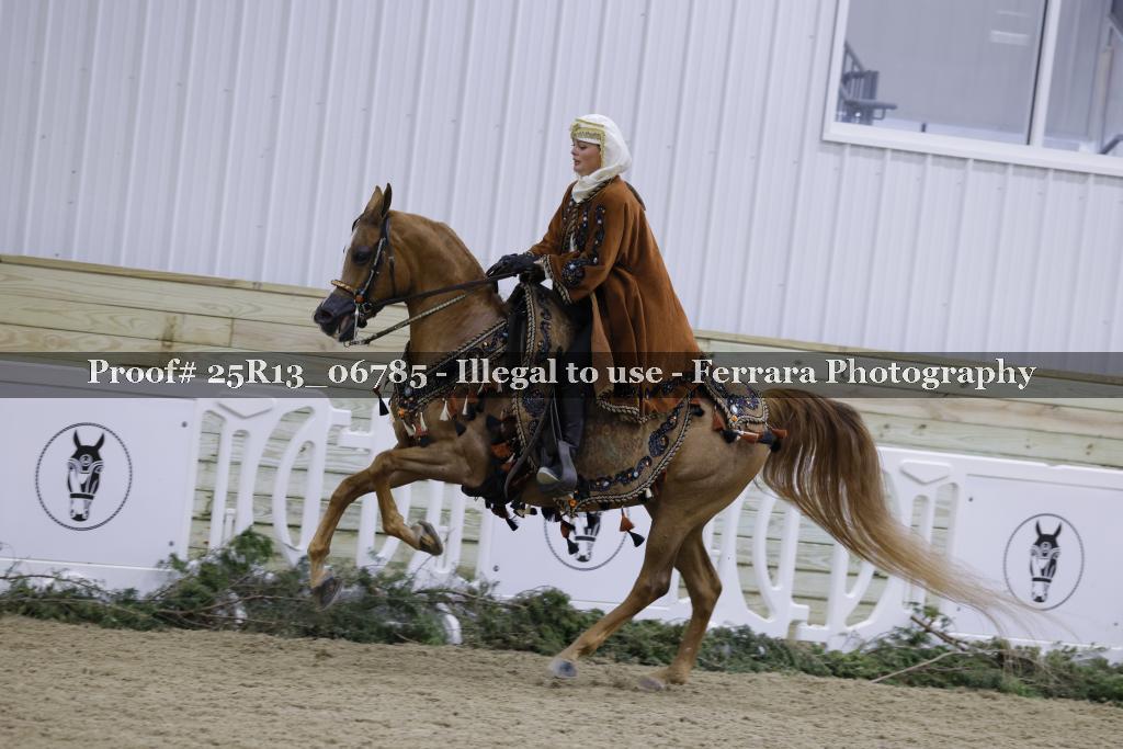 Proof 25R13_06785