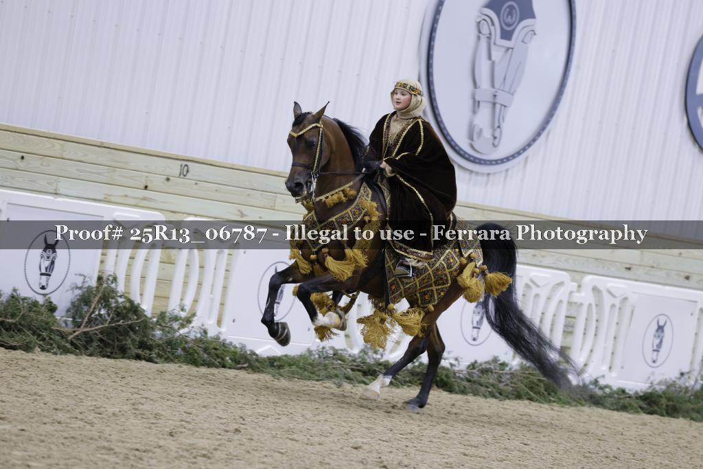 Proof 25R13_06787