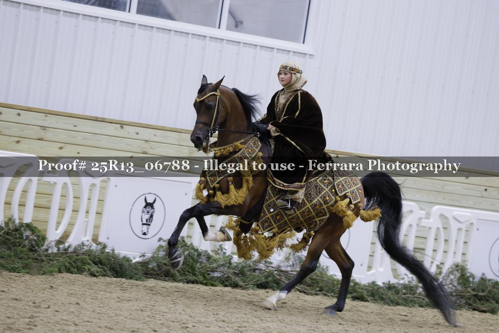 Proof 25R13_06788