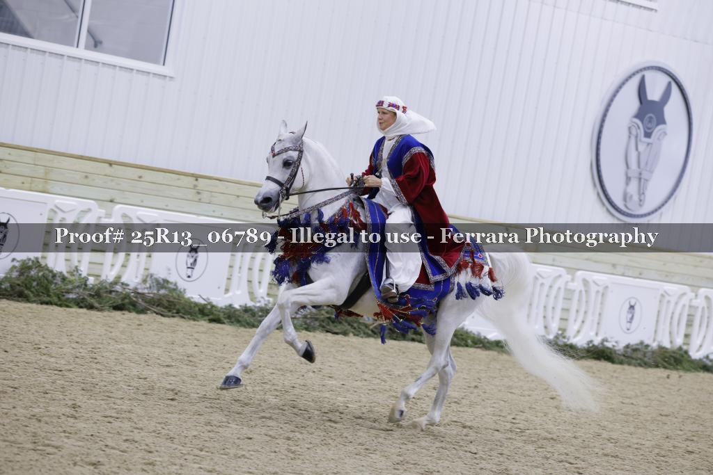 Proof 25R13_06789