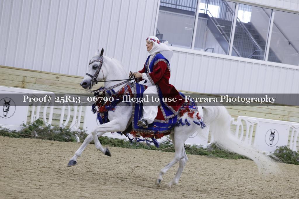 Proof 25R13_06790