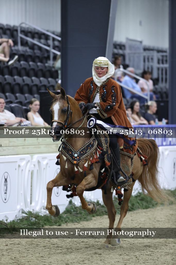 Proof 25R13_06803