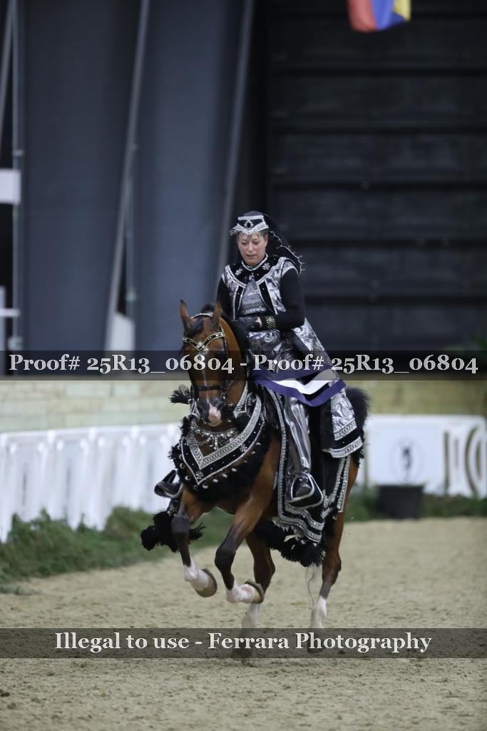 Proof 25R13_06804