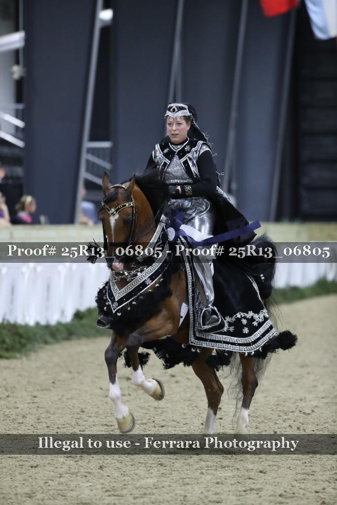 Proof 25R13_06805