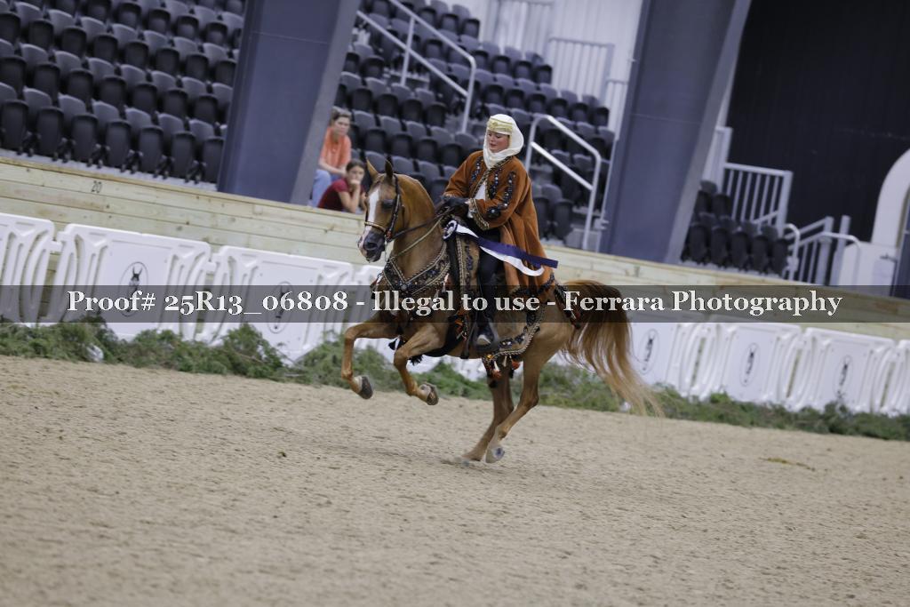 Proof 25R13_06808