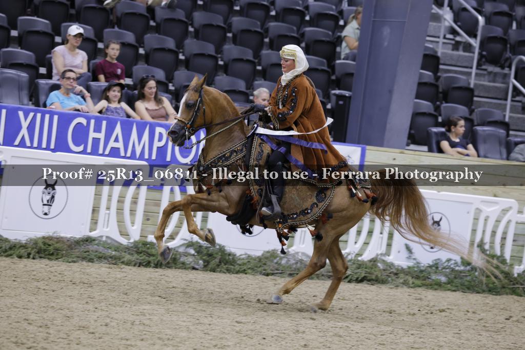 Proof 25R13_06811