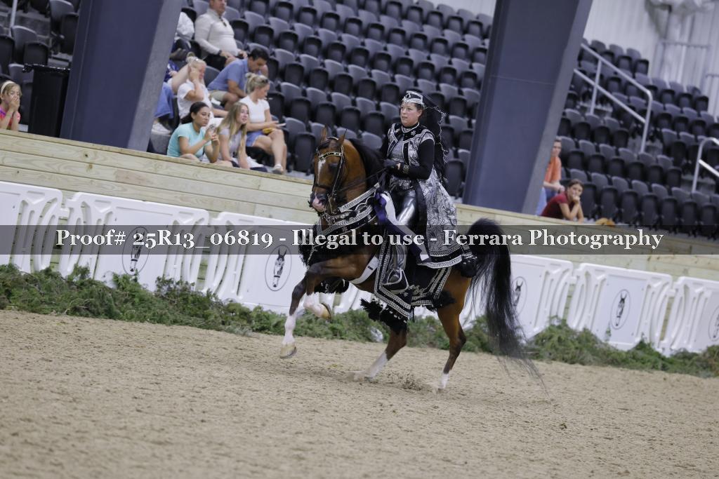 Proof 25R13_06819