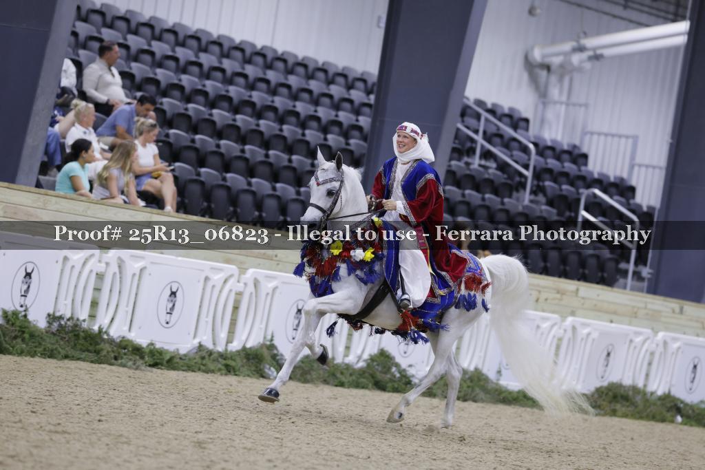 Proof 25R13_06823