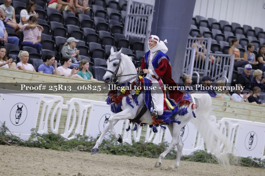 Proof 25R13_06825