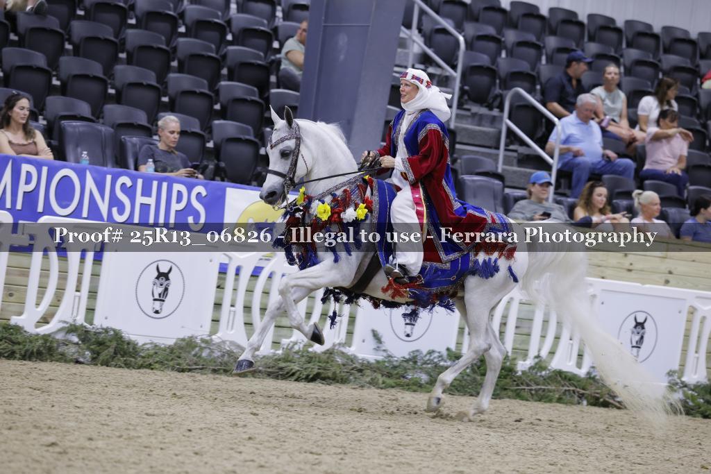 Proof 25R13_06826