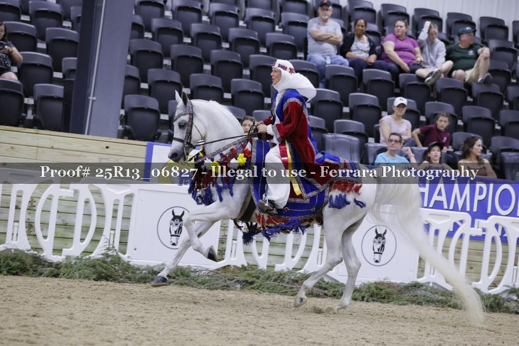 Proof 25R13_06827