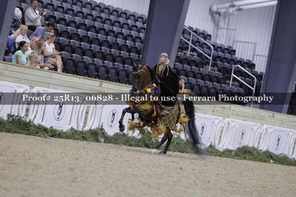 Proof 25R13_06828