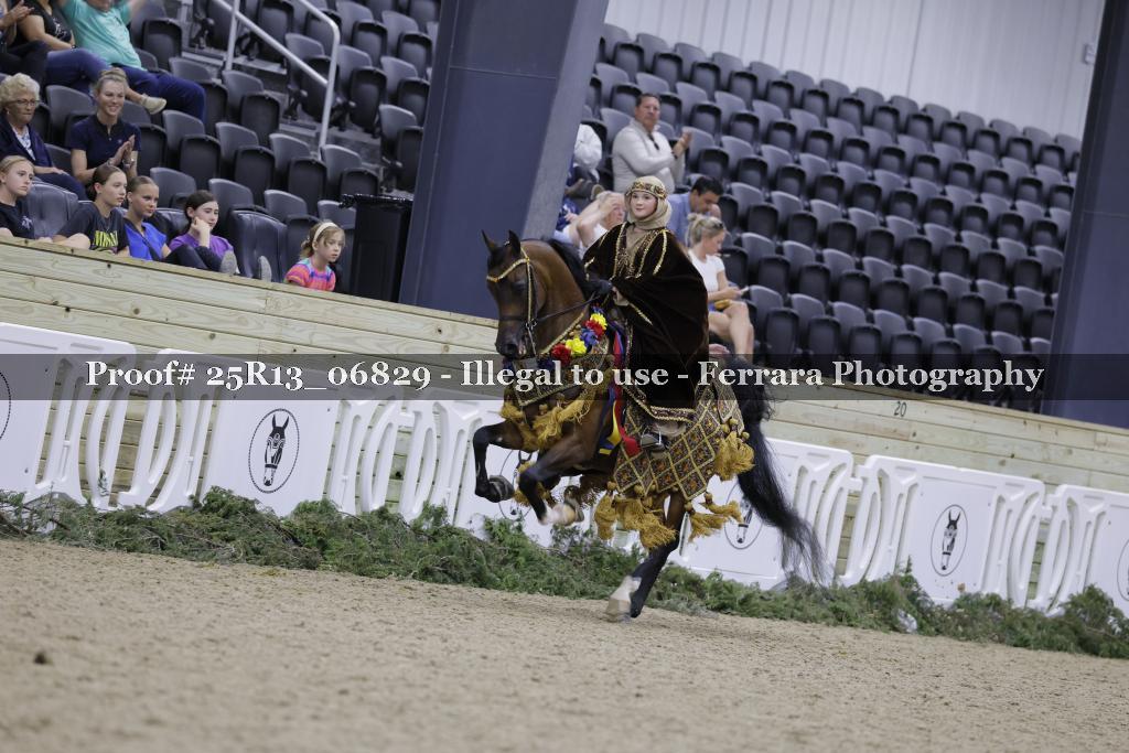 Proof 25R13_06829