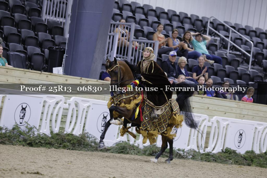 Proof 25R13_06830
